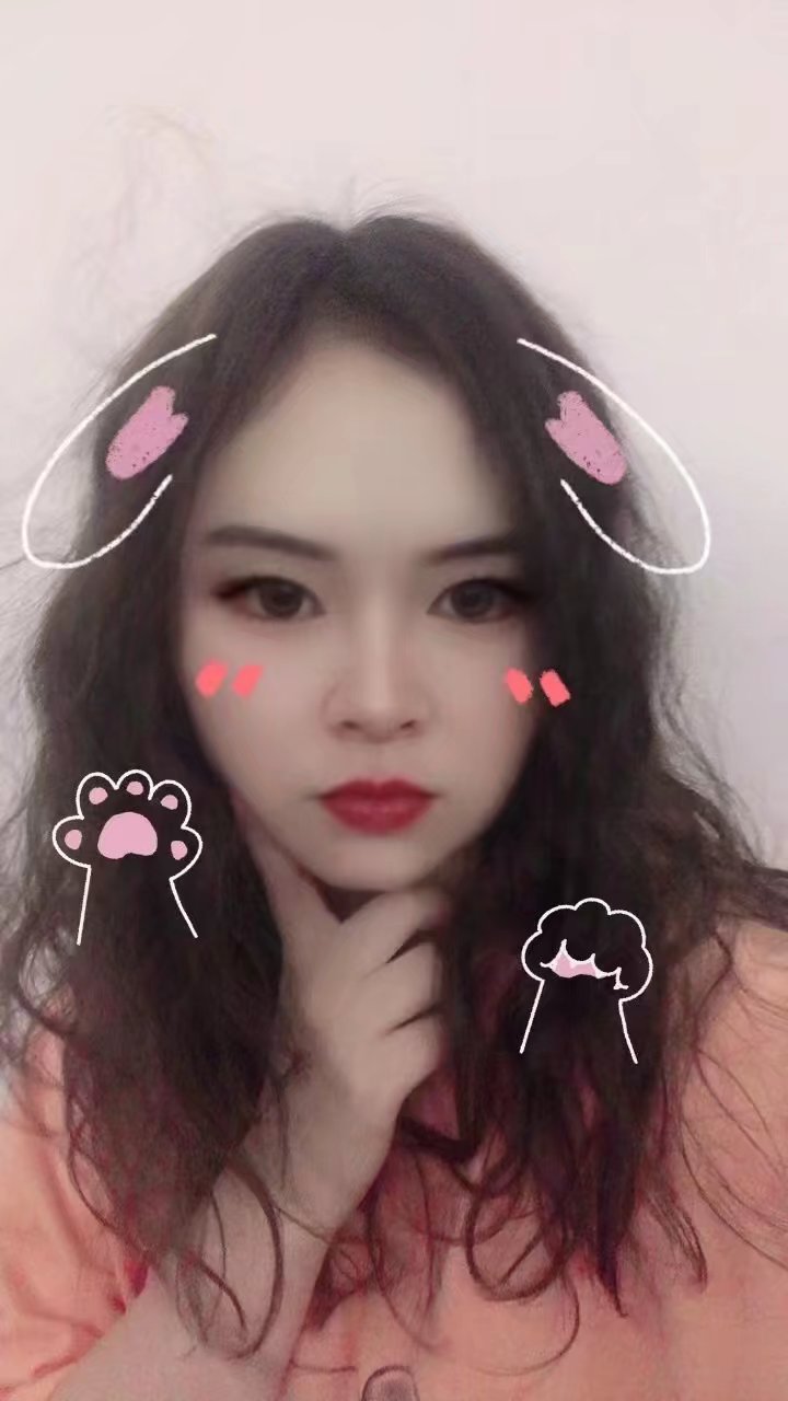 加过滤镜，🐻是B+